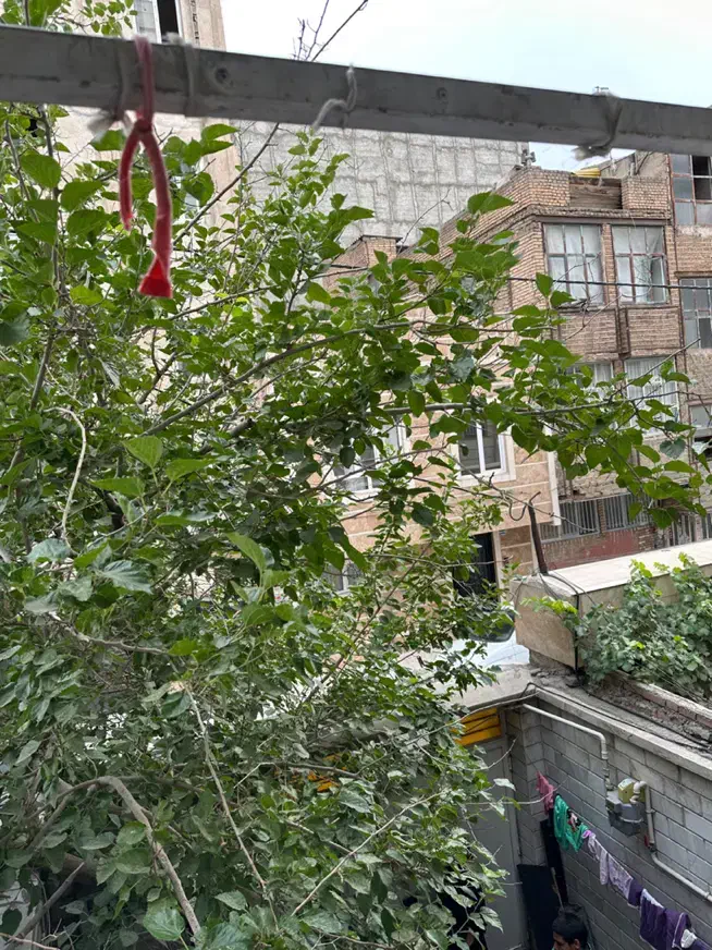 فروش دربستی مستقل|فروش خانه و ویلا|تهران, شهید رجایی|دیوار