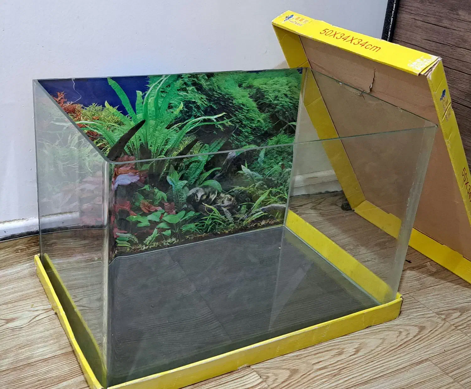 آکواریوم|ماهی|تهران, شهرک امام خمینی|دیوار