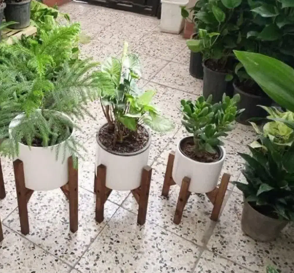 پایه گل و گلدون سه تایی|گل و گیاه طبیعی|مشهد, تلگرد|دیوار