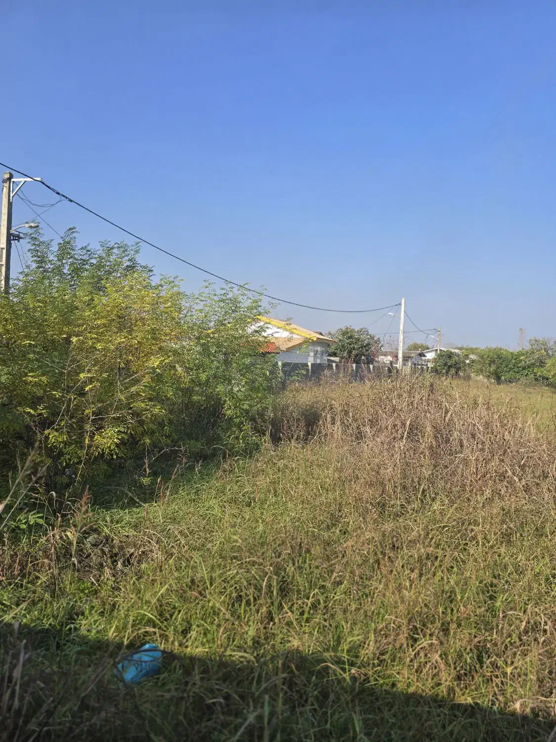 زمین۲۲۰متری|فروش زمین و ملک کلنگی|واجارگاه, |دیوار