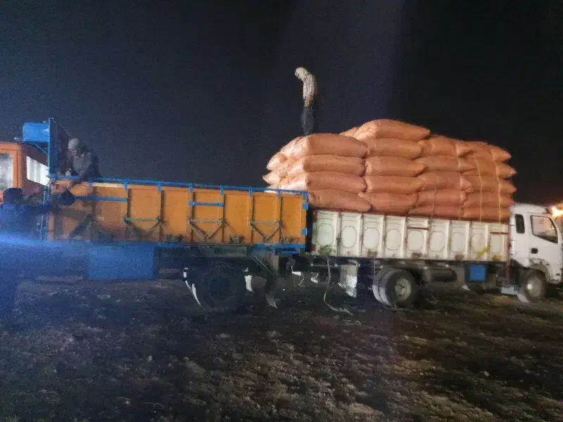 کاه گندم کرمانشاه|عمدهفروشی|مهدی شهر, |دیوار