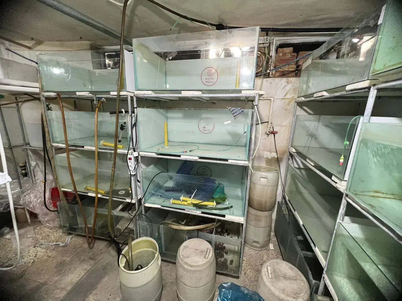 لوازم سالن ماهی زینتی|ماهی|سلماس, |دیوار