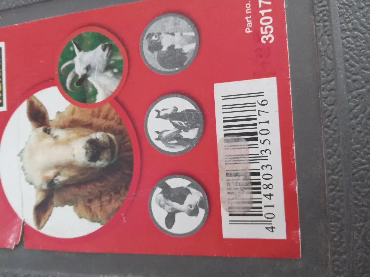 پشم چین گوسفندالمانی|ماشینآلات صنعتی|شبانکاره, |دیوار