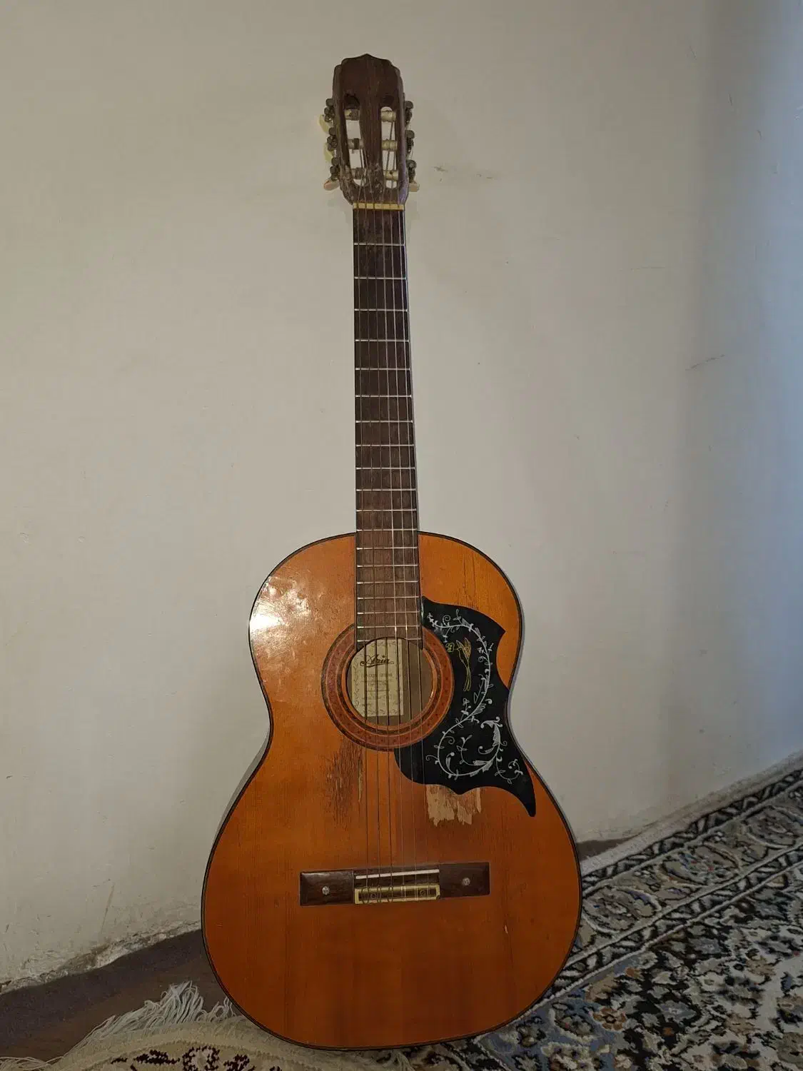 گیتار آریا ak 80، Aria Ak80|گیتار، بیس، امپلیفایر|مشهد, استاد یوسفی (شهرک غرب)|دیوار