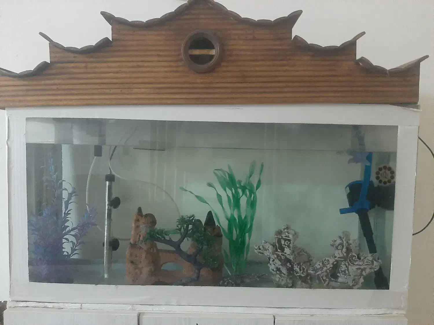 آکواریوم|ماهی|مسجد سلیمان, |دیوار