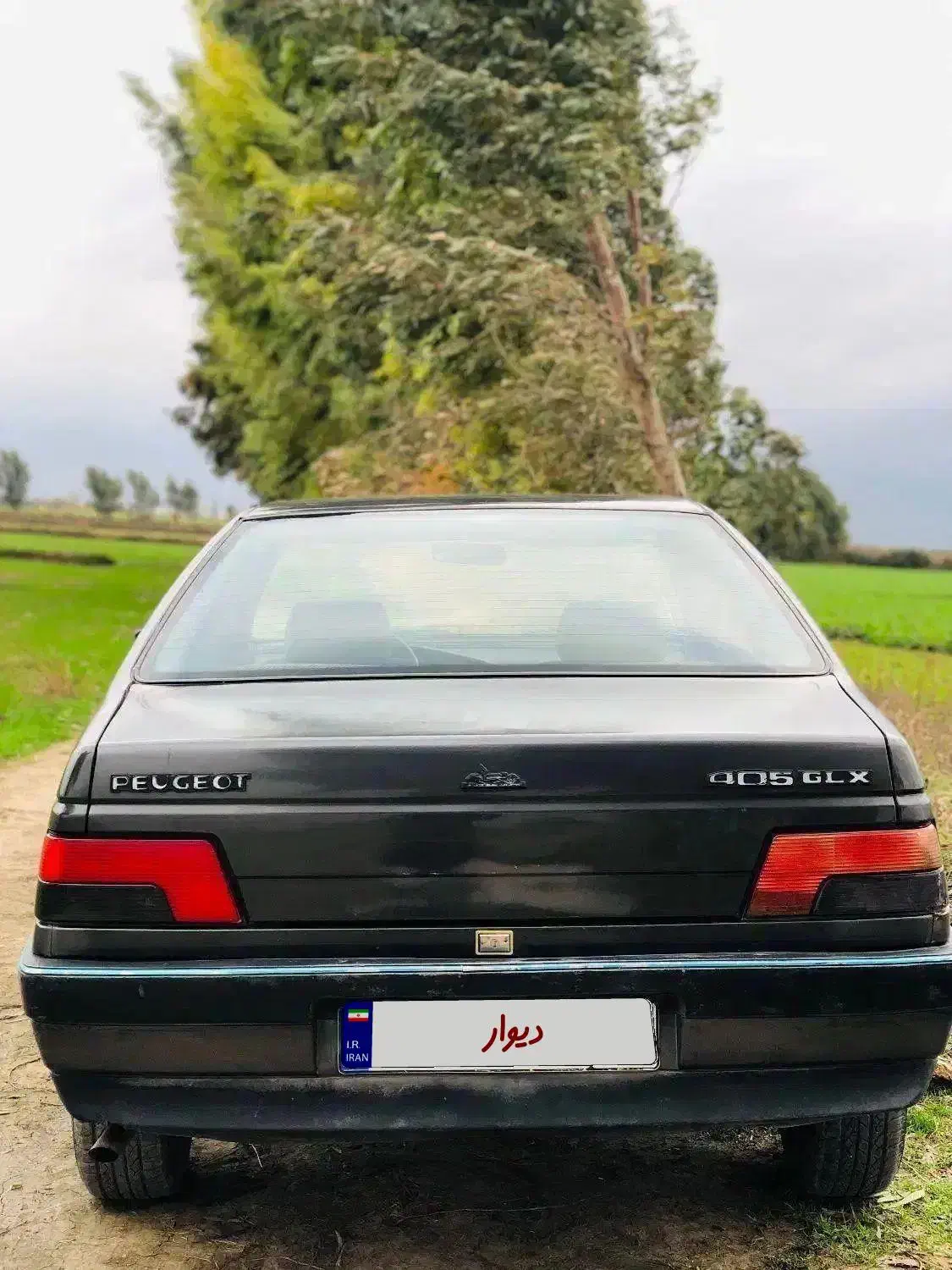 پژو۲۰۰۰|خودرو سواری و وانت|علیآباد کتول, |دیوار