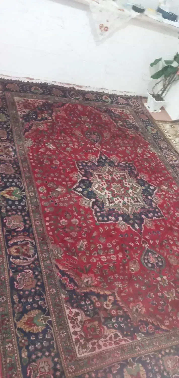 فرش طبیعی۹متری وفرش ماشینی۱۲متری|فرش|خوی, |دیوار