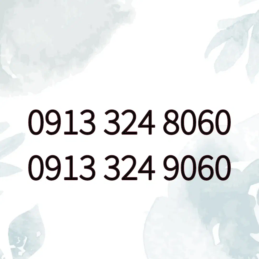 09133248060|سیم‌کارت|اصفهان, سروستان|دیوار