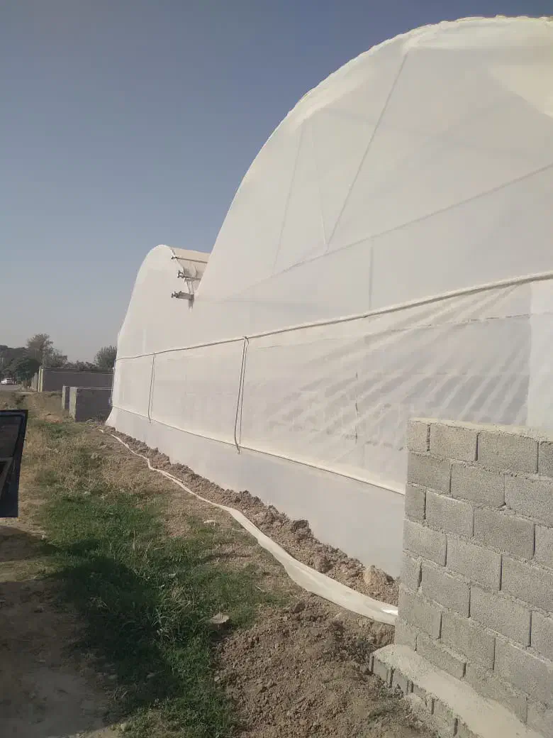 فروش زمین و گلخانه با سازه صنعتی|فروش دفتر صنعتی، کشاورزی، تجاری|تهران, خاوران|دیوار