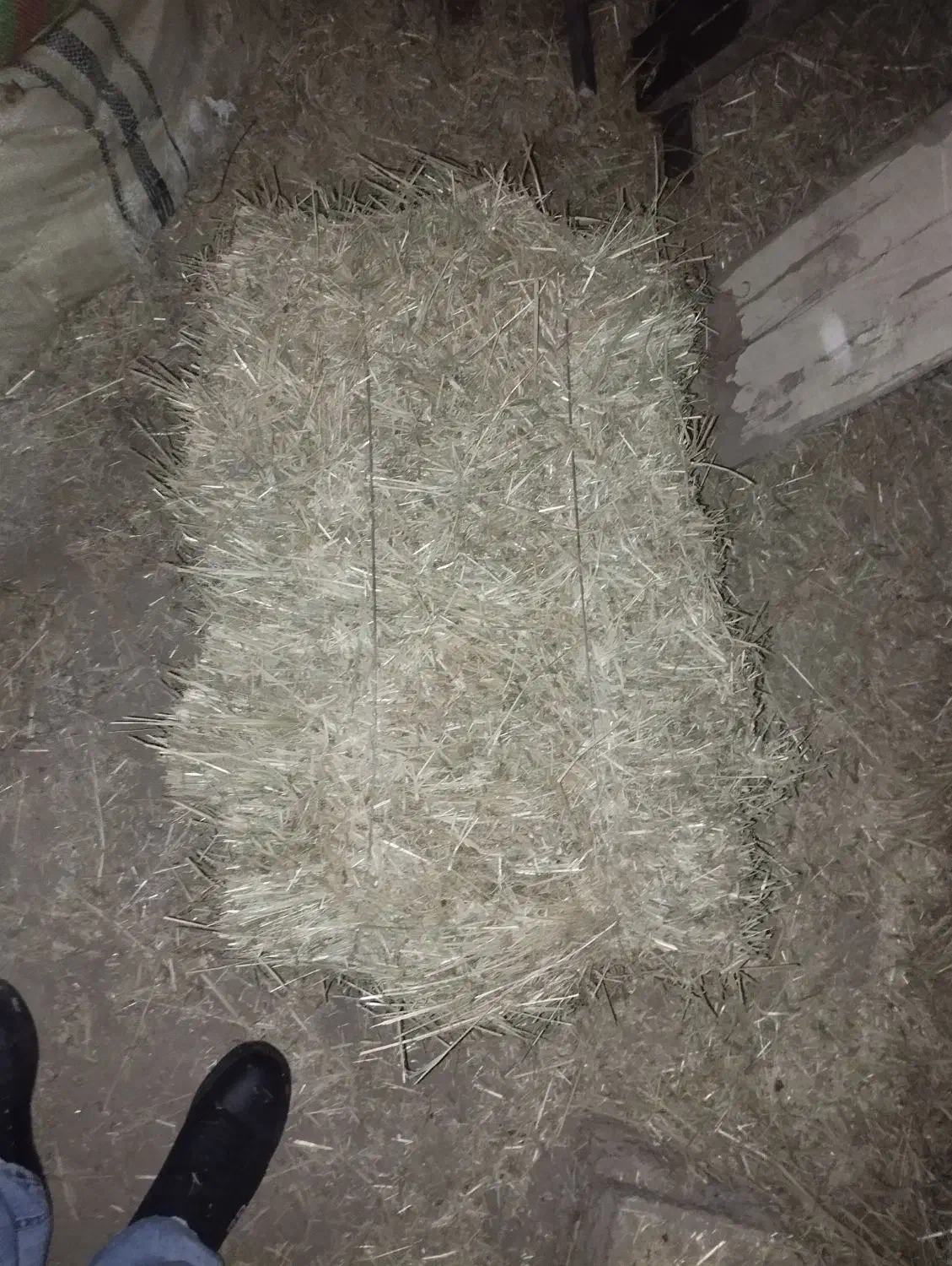 علوفه|لوازم جانبی حیوانات|مهربان, |دیوار