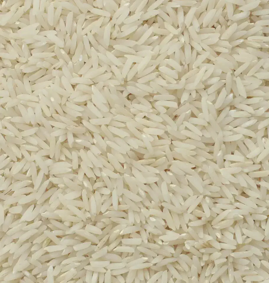 برنج هاشمی امساله سالم ودرشت|فعالیت داوطلبانه|رودبنه, |دیوار