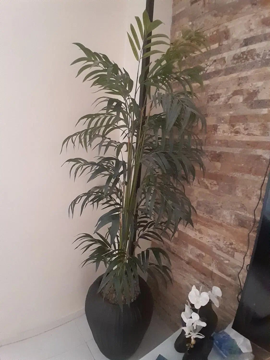 درختچه بلند مصنوعی وارداتی خارجی با گلدان|گل مصنوعی|تهران, مجیدیه|دیوار