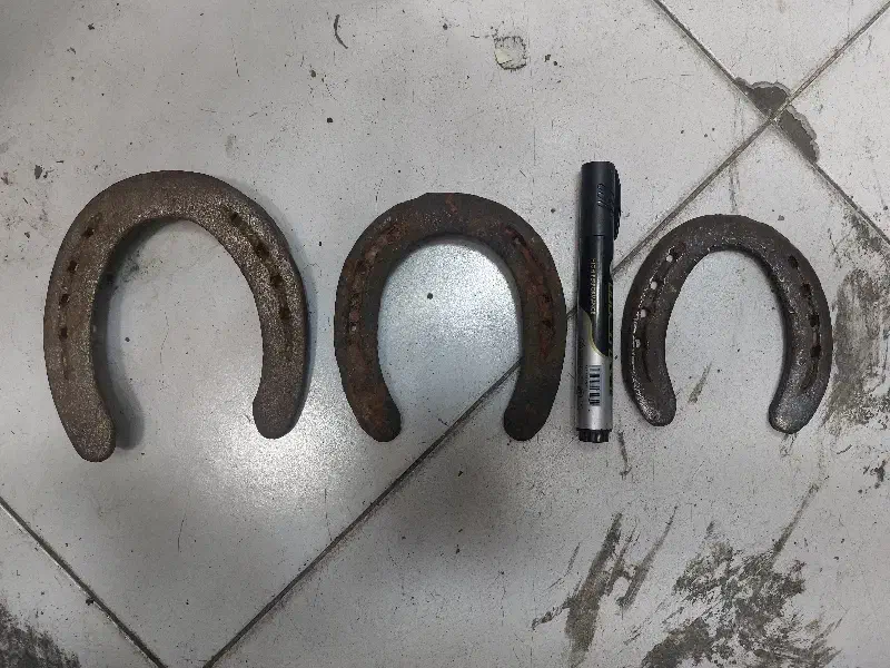 نعل اسب|اسب و تجهیزات اسبسواری|تبریز, |دیوار