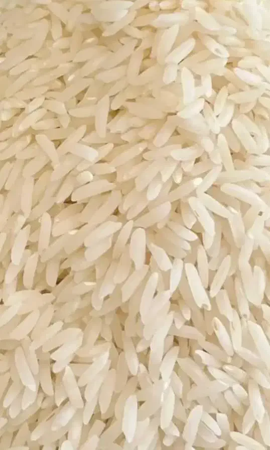 فروش ویژه برنج هاشمی اصل گیلان***|خوردنی و آشامیدنی|تهران, گلستان (شهرک راه آهن)|دیوار