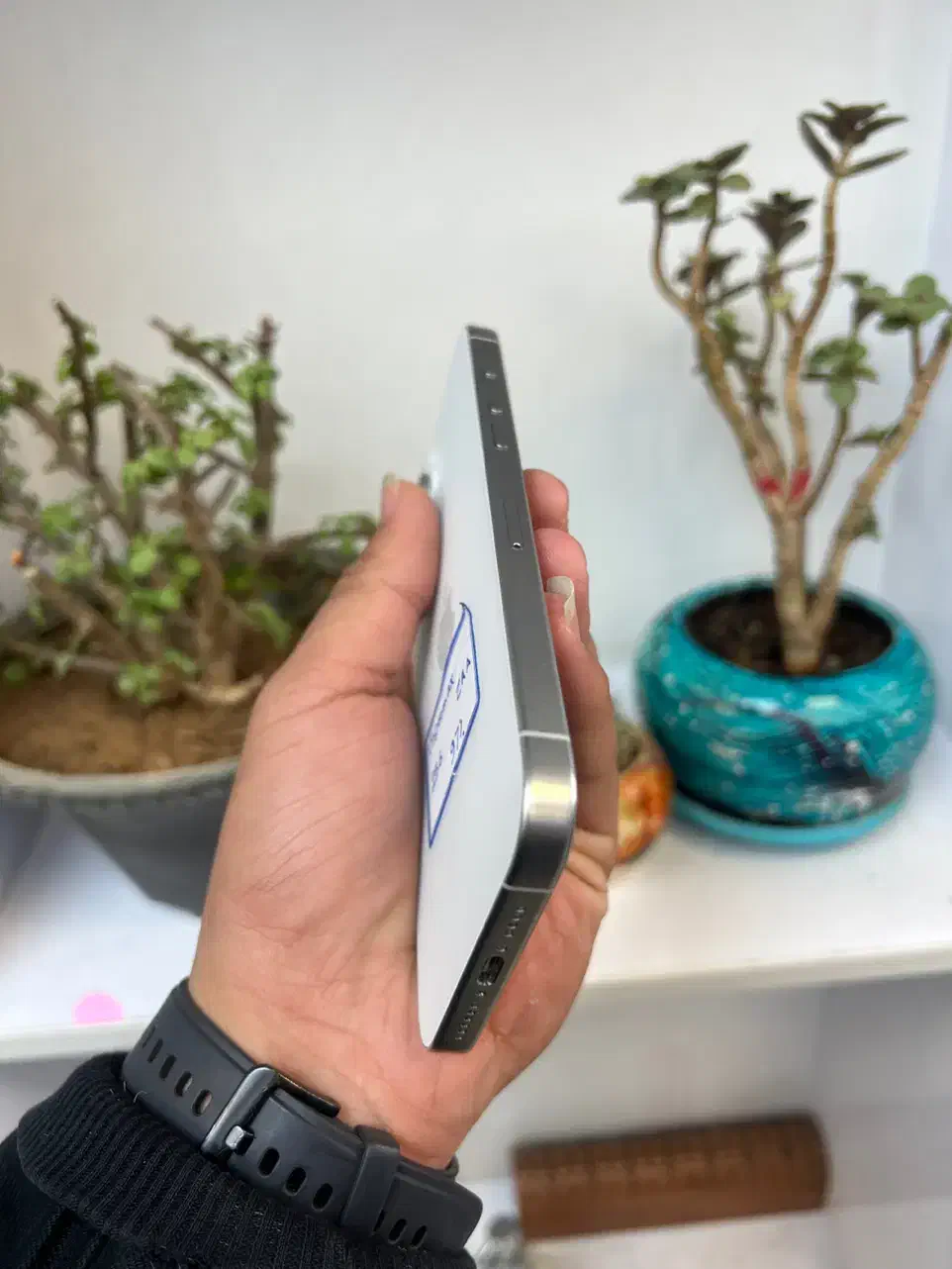 ایفون iPhone15ProMax|موبایل|شیراز, زند|دیوار