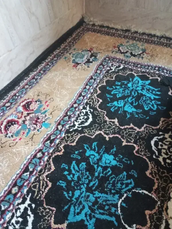 فرش 12 متری|فرش|مرودشت, استادیوم‎|دیوار