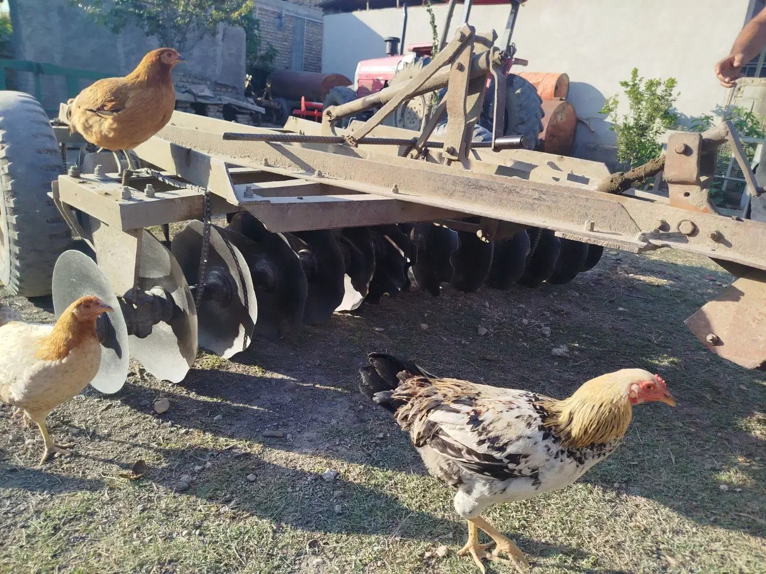 دیکس بابای|ماشین‌آلات صنعتی|بندر ترکمن, |دیوار