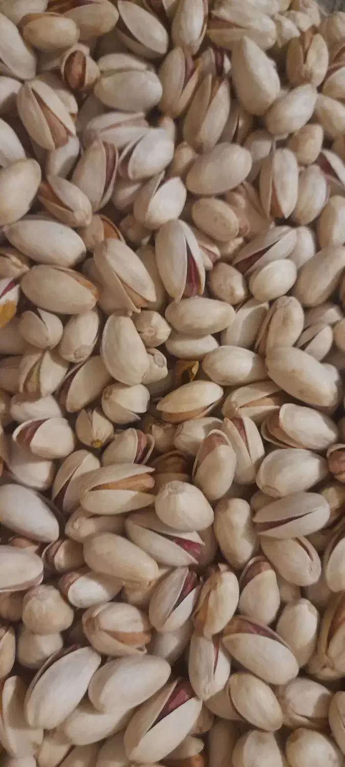 فروش پسته ومغز پسته بصورت عمده وخرده|خوردنی و آشامیدنی|ایلخچی, |دیوار