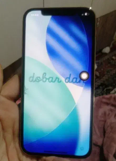 lla v iPhone12 128pro & 8 plus 256|موبایل|کرج, ساماندهی|دیوار