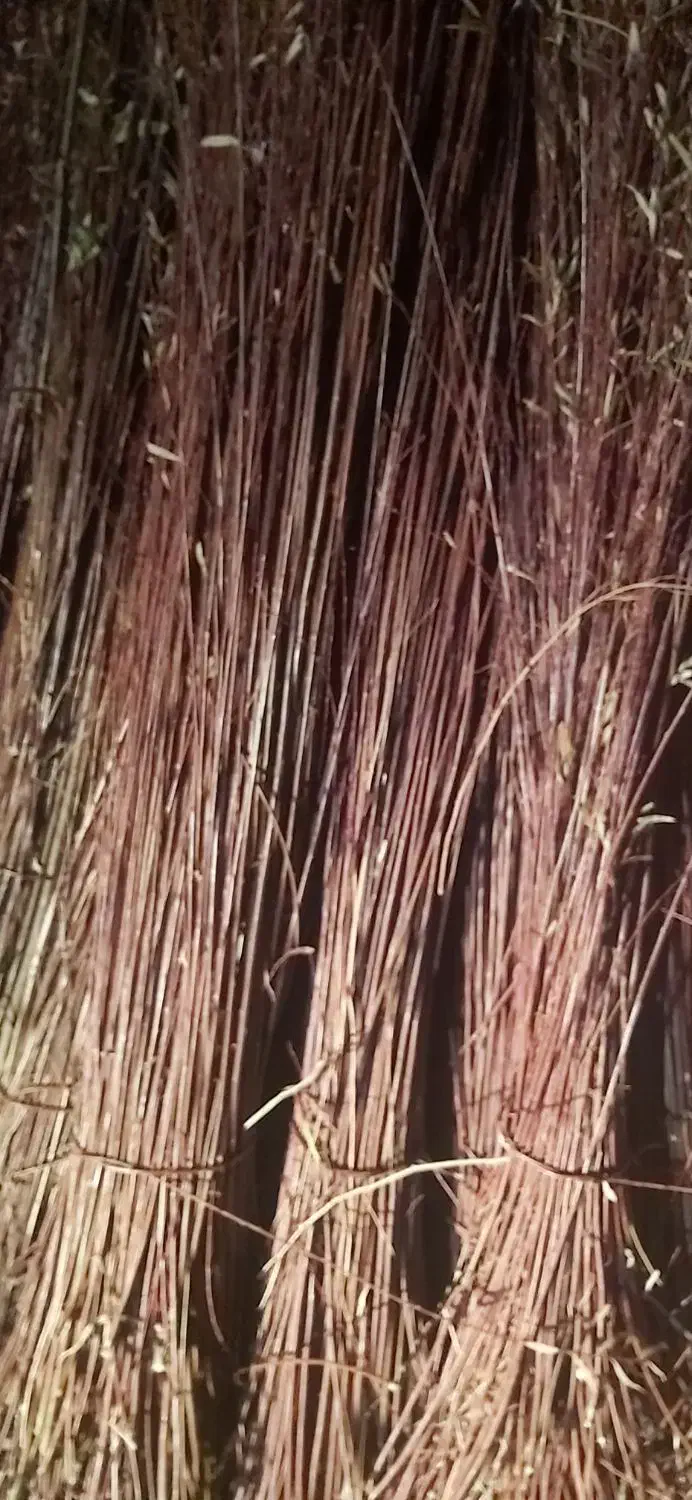 ترکه مروار سبدبافی|صنایع دستی و سایر لوازم تزئینی|ملایر, |دیوار