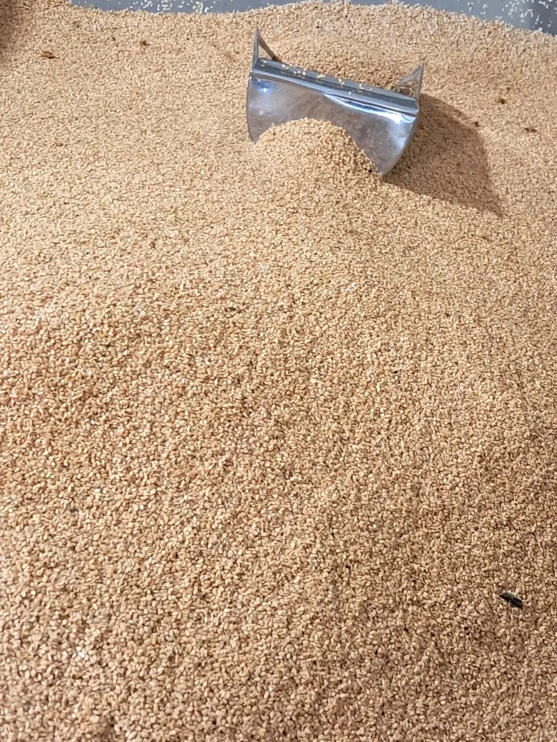 کارگاه تولیدی ارده|خوردنی و آشامیدنی|اصفهان, نقش جهان|دیوار