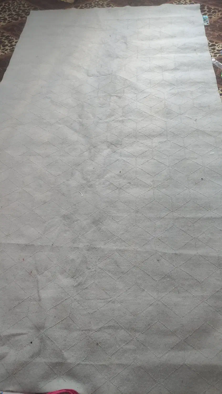 موکت طوسی نونو۶متری قیمت ۳۵۰هزار|موکت|کرمانشاه, |دیوار