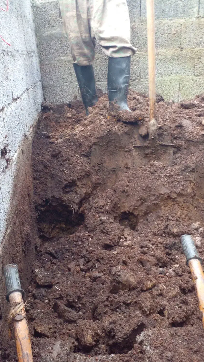 فروش پهن خشک گاو کهنه در کیسه|لوازم جانبی حیوانات|اسالم, |دیوار