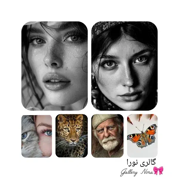 سفارش تابلو نقاشی|تابلو، نقاشی، عکس|قم, شاه ابراهیم|دیوار