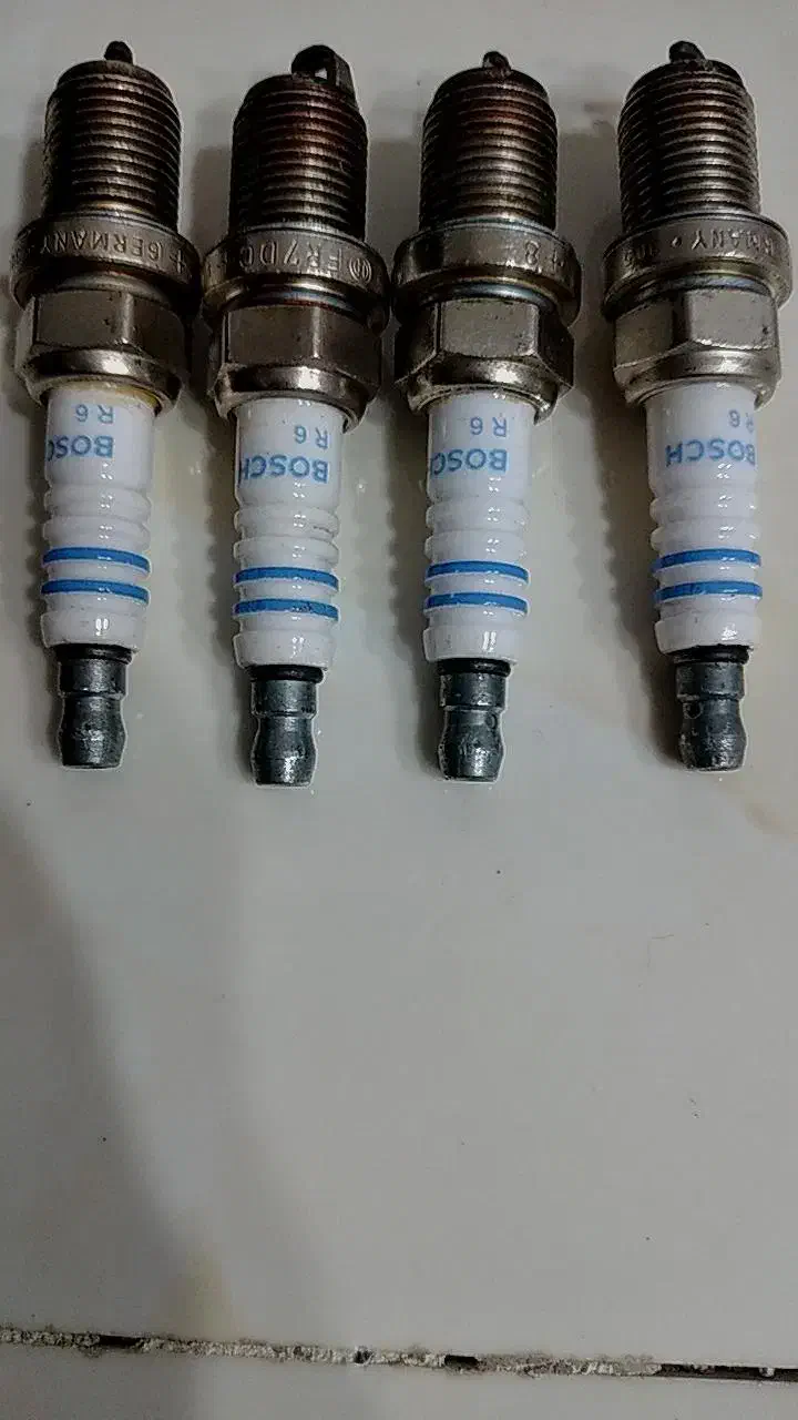 وسایل|گل و گیاه طبیعی|پاکدشت, خاتون آباد|دیوار