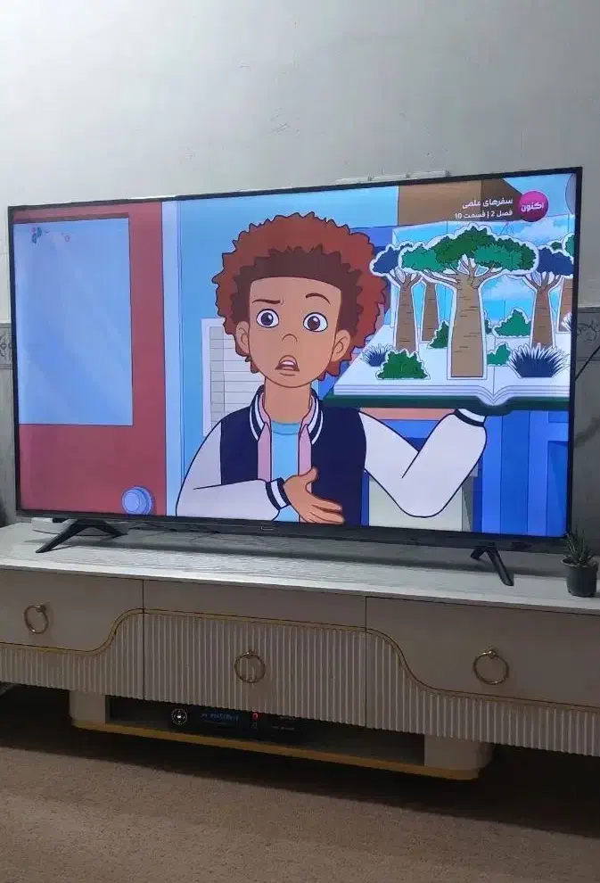 نصب تلویزیون وانتن دیجیتال|خدمات پیشه و مهارت|برازجان, |دیوار