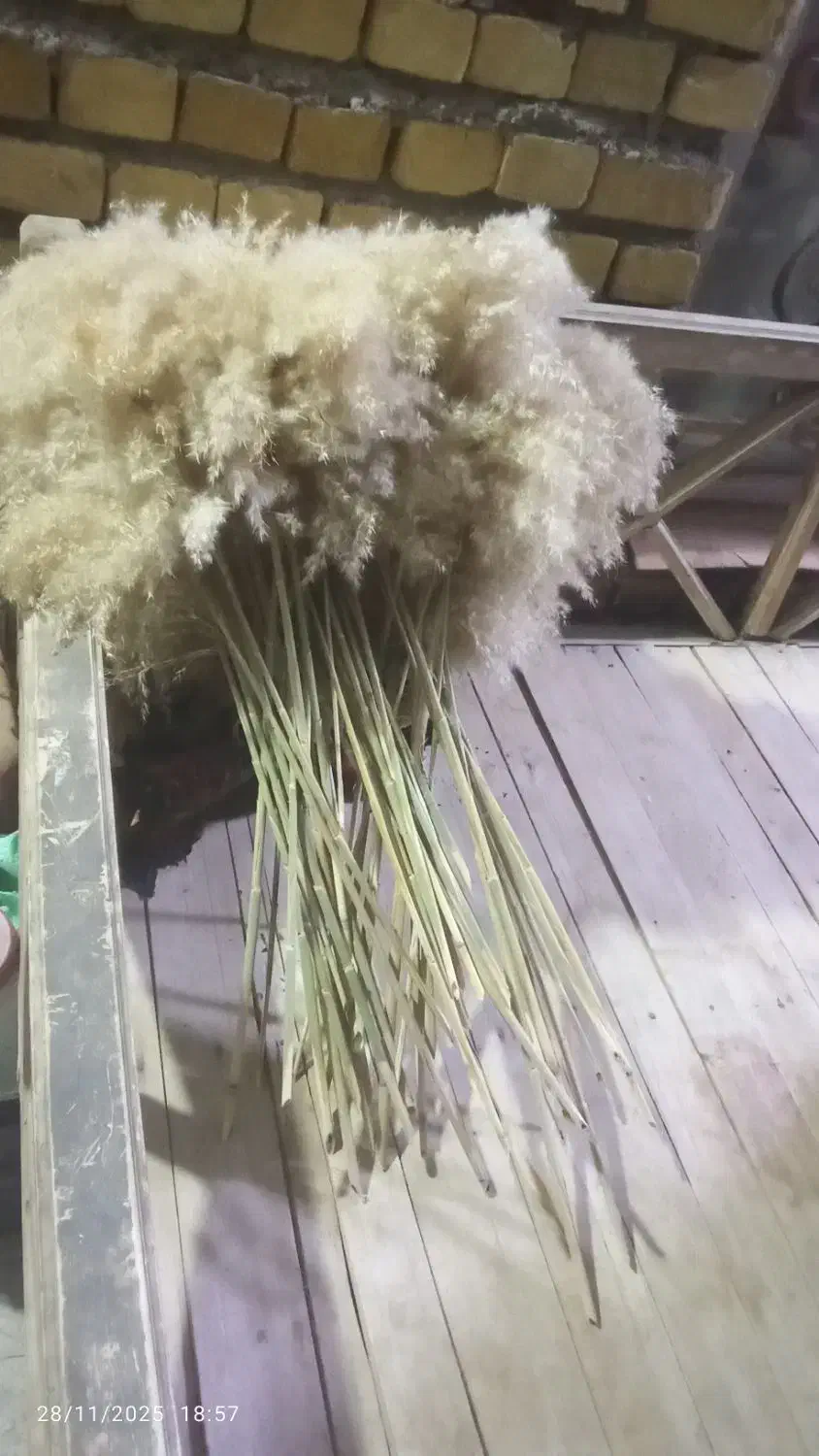 گل تزئینی|صنایع دستی و سایر لوازم تزئینی|ماهیدشت, |دیوار