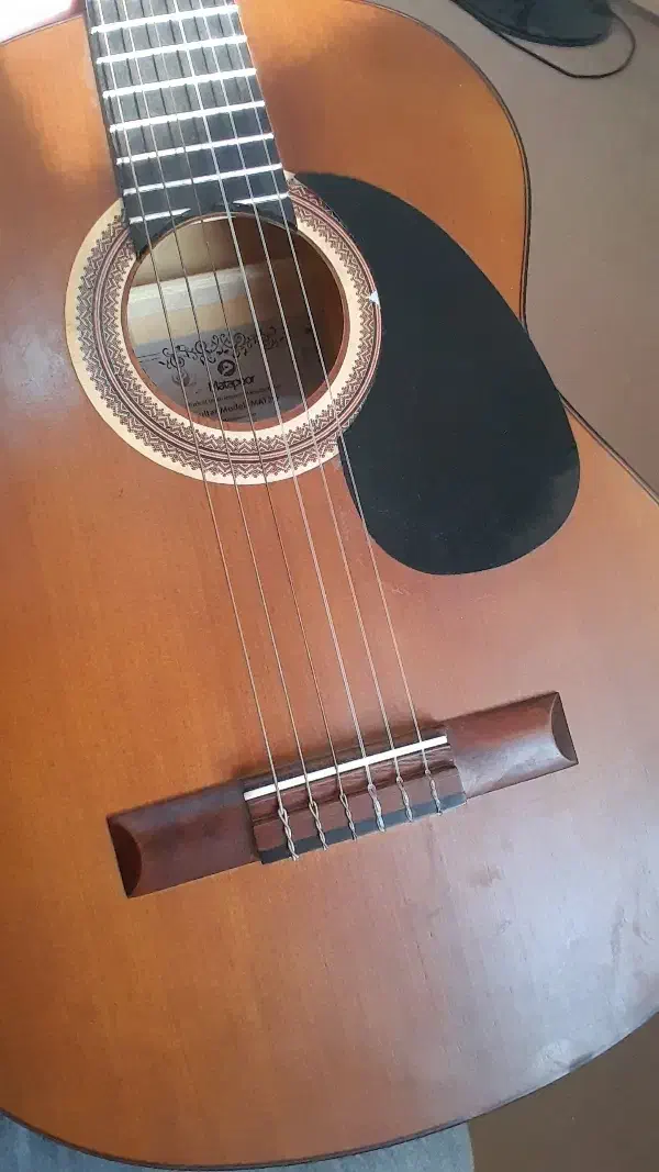 فروش گیتار در حد نو|گیتار، بیس، امپلیفایر|سیاهکل, |دیوار