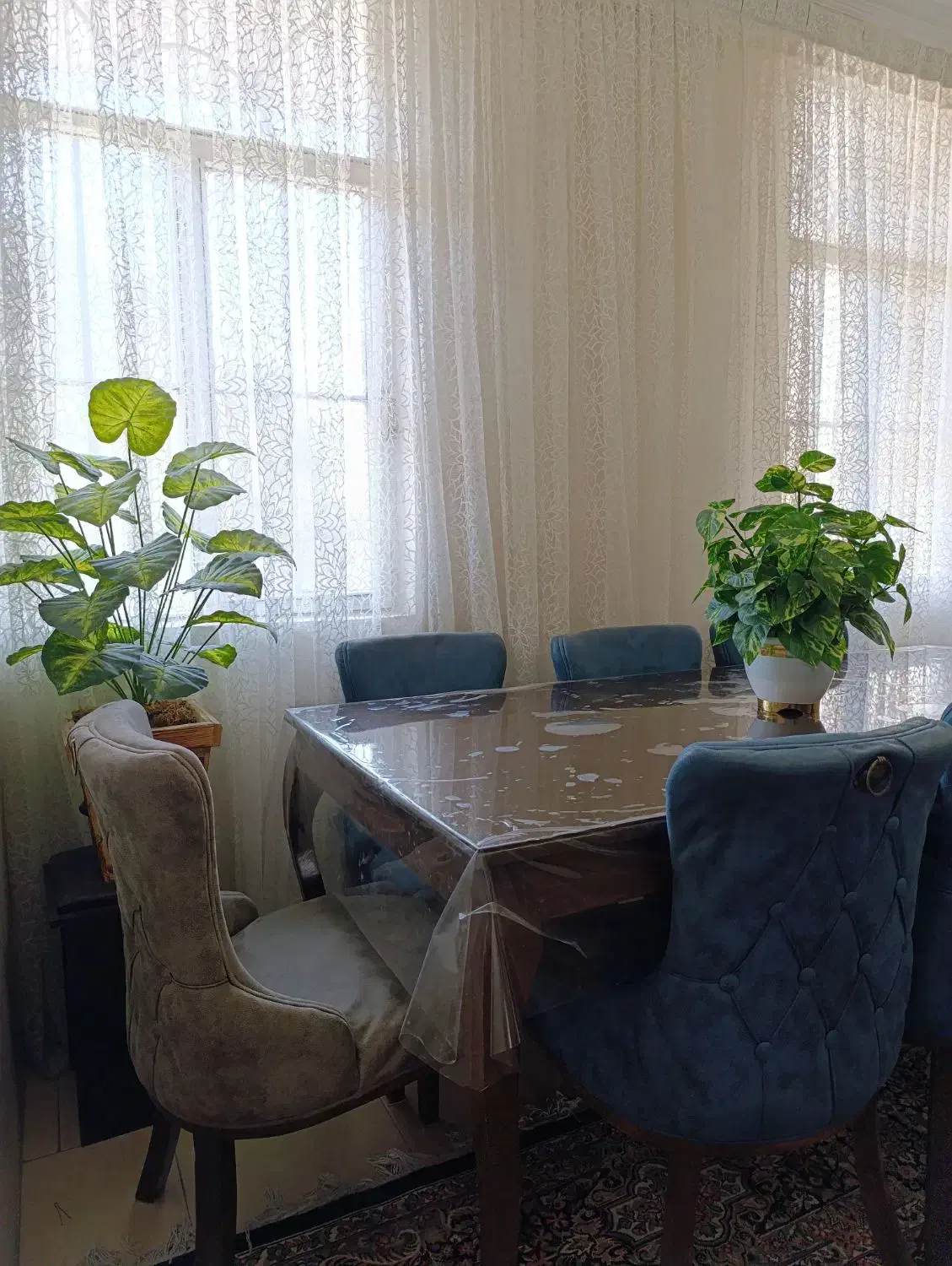 میز ناهارخوری|میز و صندلی غذاخوری|تهران, زیبادشت|دیوار