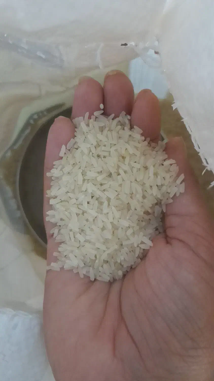 برنج نیم دانه تامیما|خوردنی و آشامیدنی|بندر کنگان, |دیوار