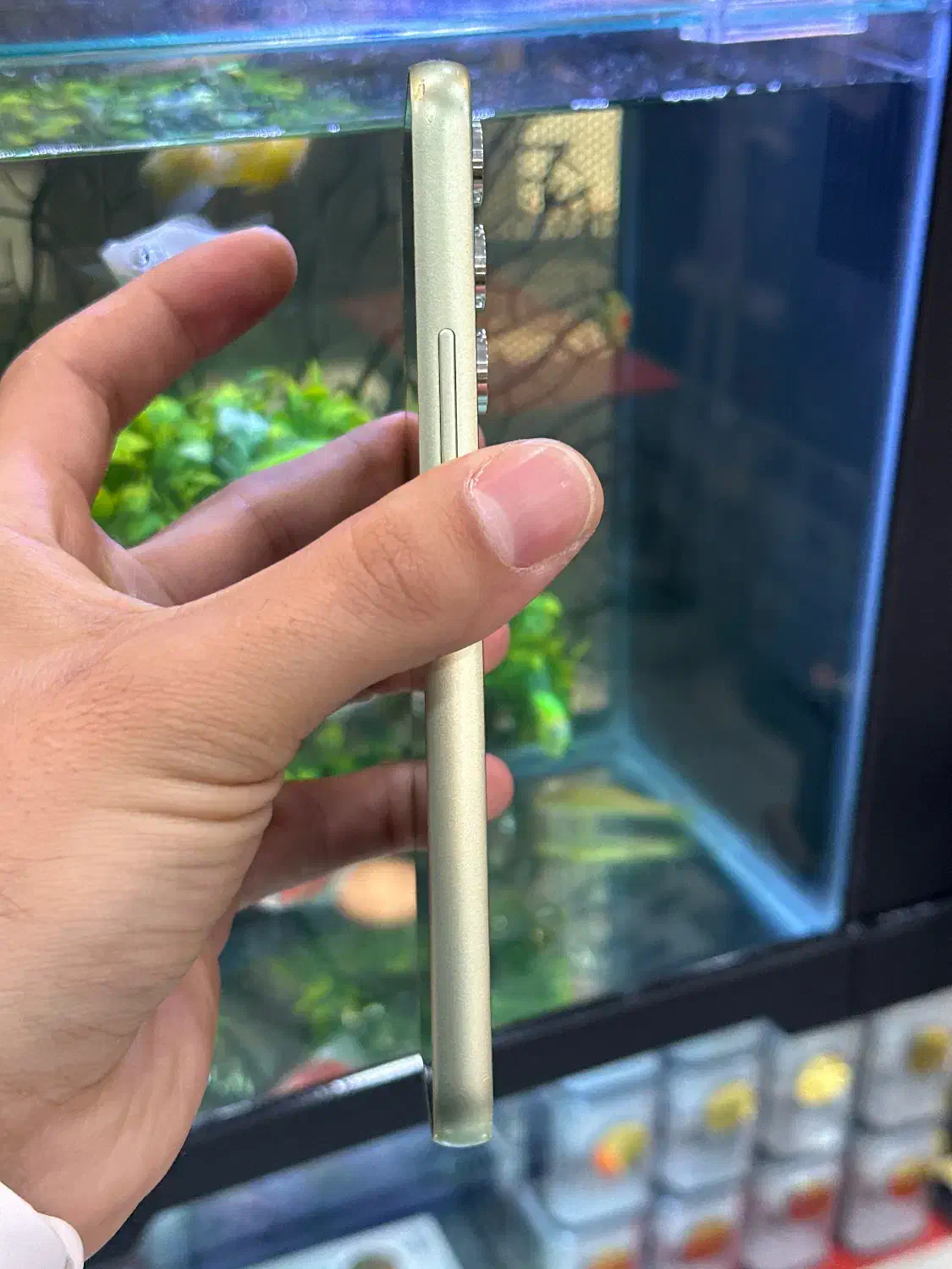 a54|موبایل|شیراز, زند|دیوار