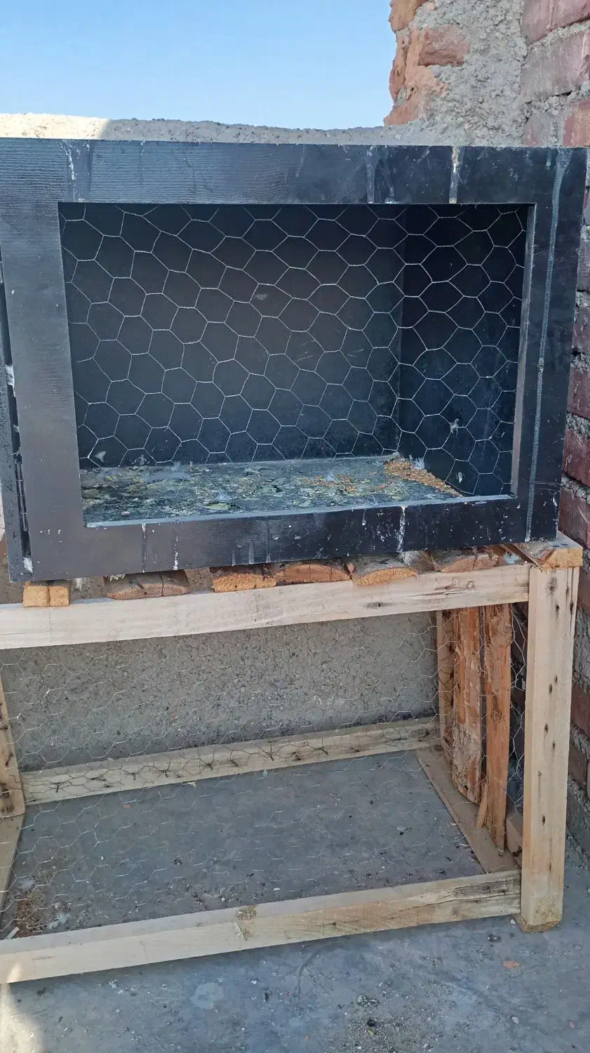 جفتگاه کبوتر|لوازم جانبی حیوانات|میاندوآب, |دیوار