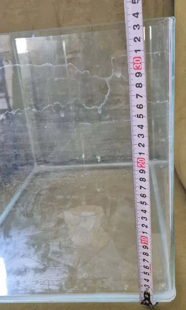 آکواریوم|ماهی|تهران, مولوی|دیوار