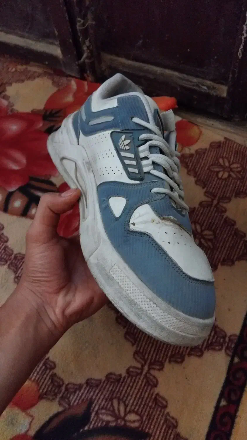 کفش|کیف، کفش، کمربند|سبزوار, شرق کال عیدگاه|دیوار