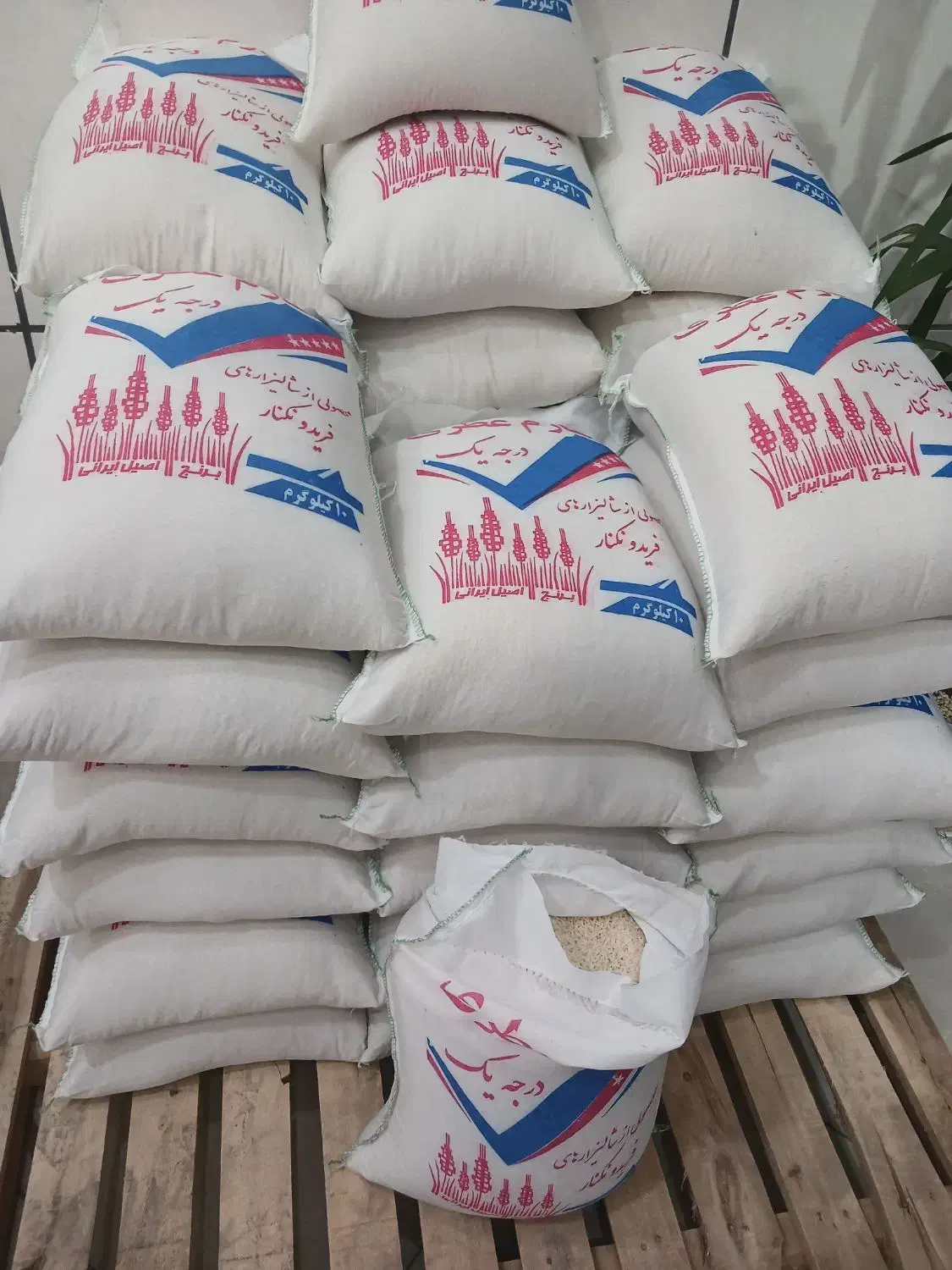 برنج چکی ومطمئن میخوای|خوردنی و آشامیدنی|یزد, |دیوار