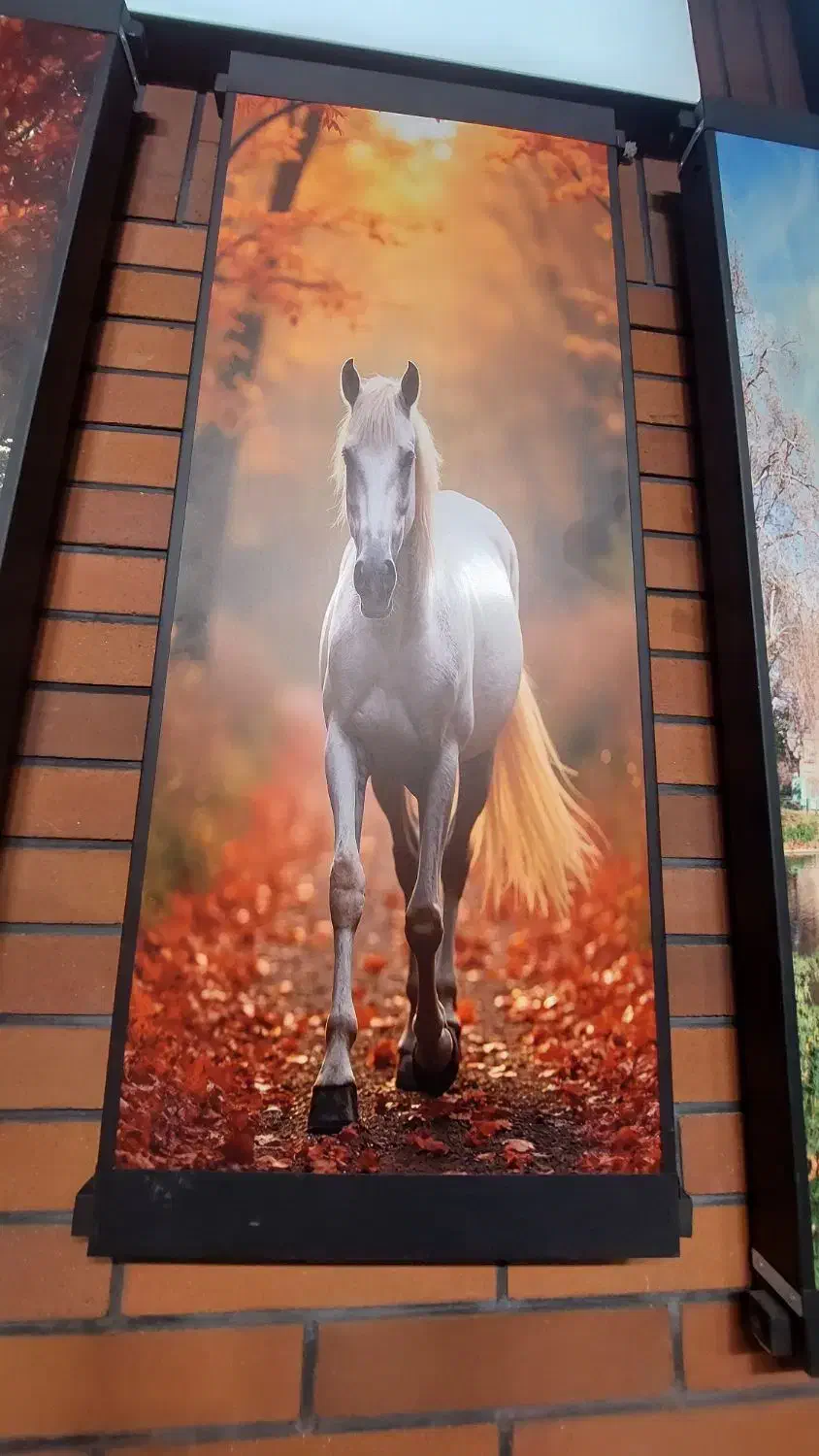 رادیاتور دکوراتیو|آبگرمکن، پکیج، شوفاژ|قم, چهل درخت|دیوار