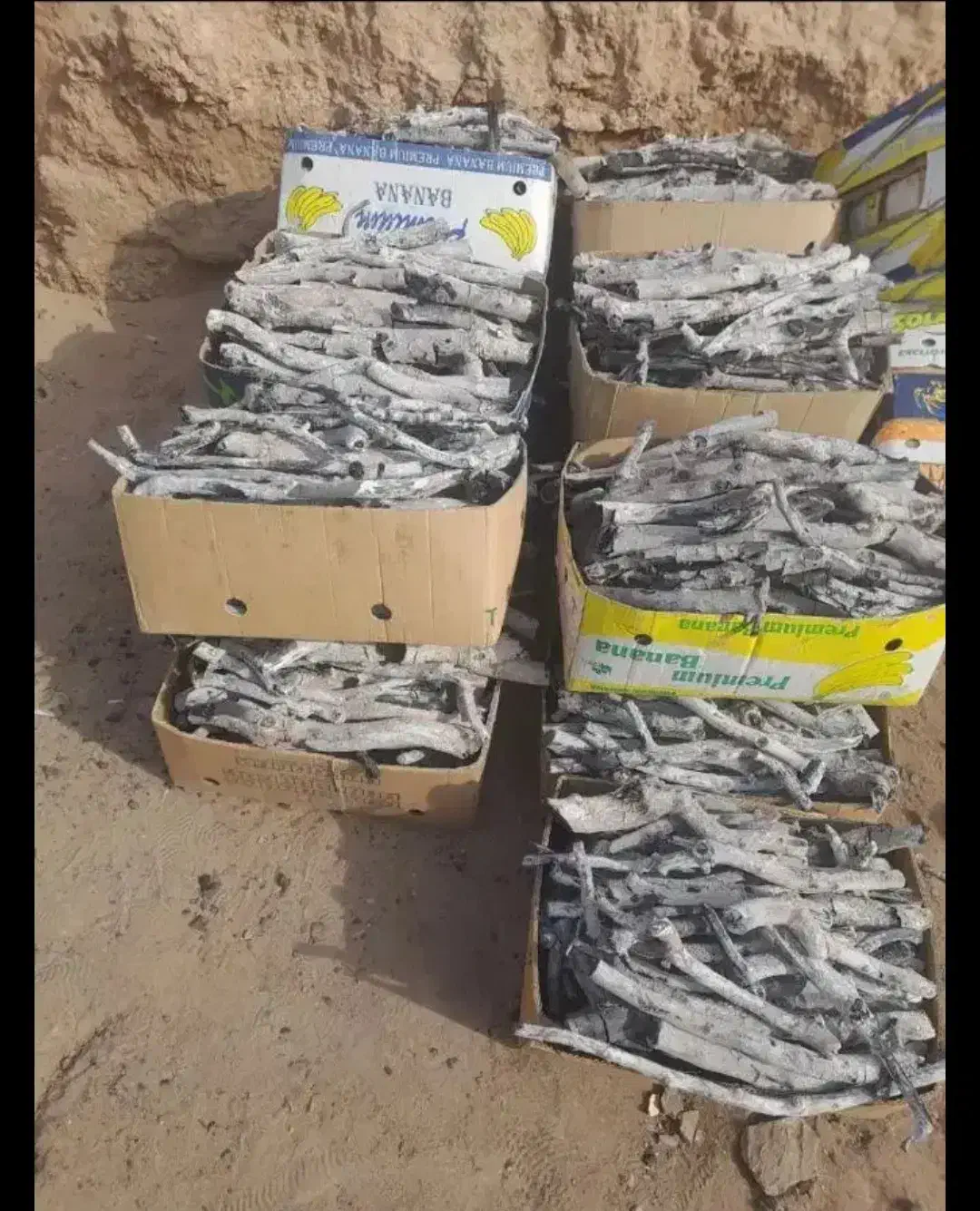 ذغال قلیان|کلکسیون و سرگرمی|مشهد, عامل|دیوار