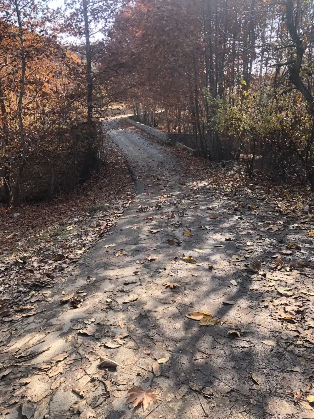 استخدام سرایدار برای ویلا محدوده اغشت|استخدام سرایداری و نظافت|کوهسار (البرز), |دیوار