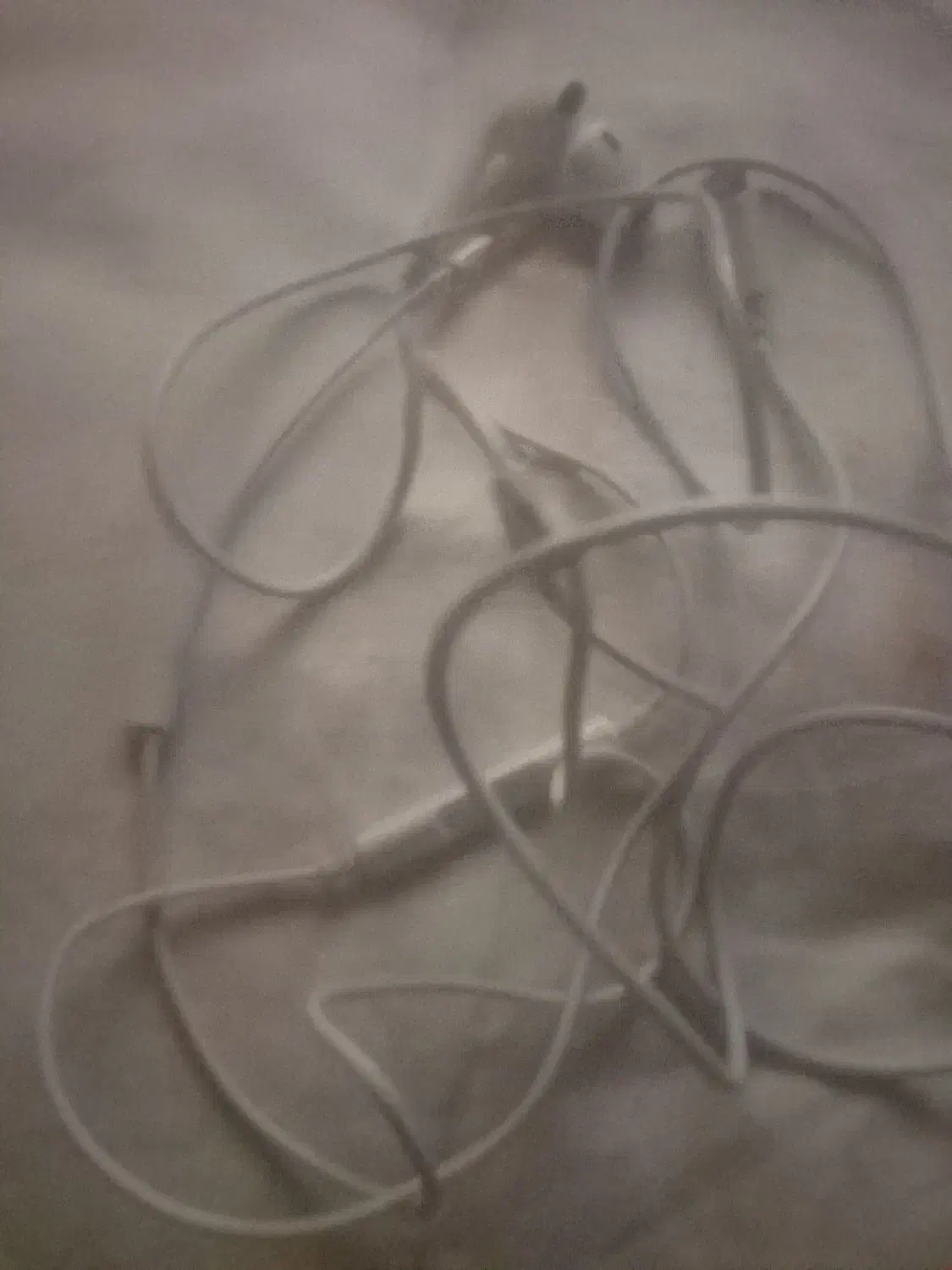 شارژر و هنذفری|لوازم جانبی موبایل و تبلت|شیراز, آزادگان|دیوار