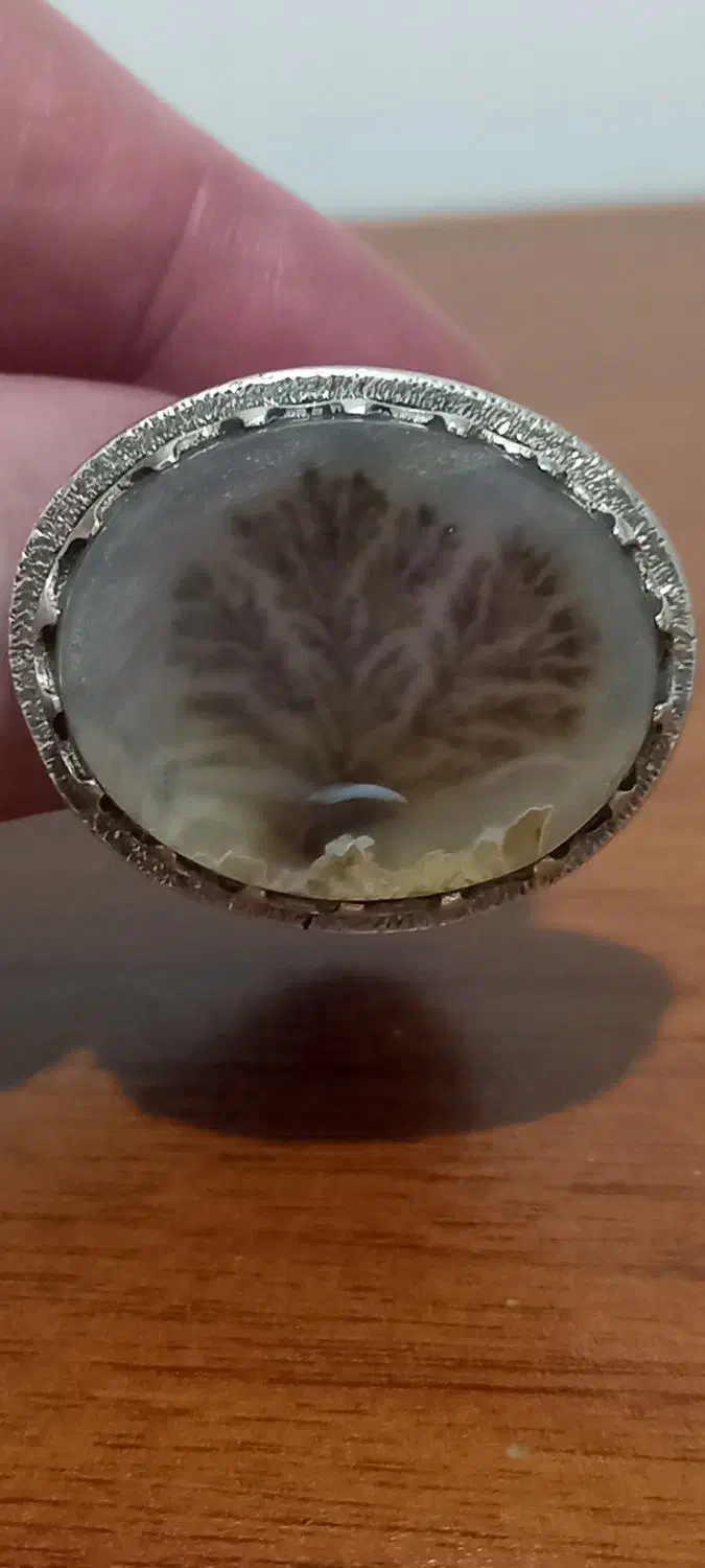 انگشتر شجر رکابدستساز ارسلان|کلکسیون اشیاء عتیقه|ملارد, |دیوار