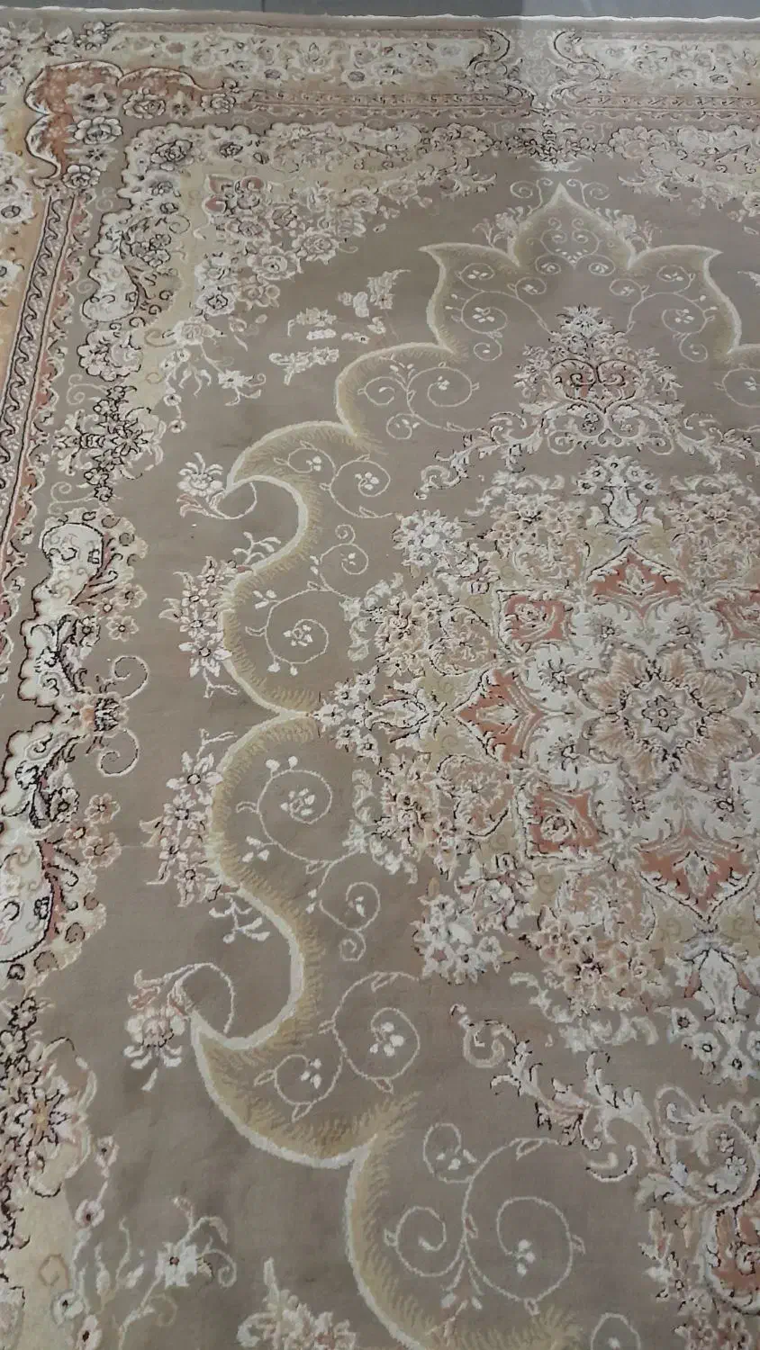 فرش ۷۰۰ شانه|فرش|گرگان, |دیوار