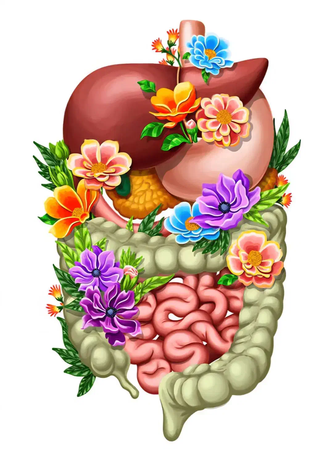 پروبیوتیک کیمچی ساورکرات و کواس|خوردنی و آشامیدنی|تهران, ایرانشهر|دیوار