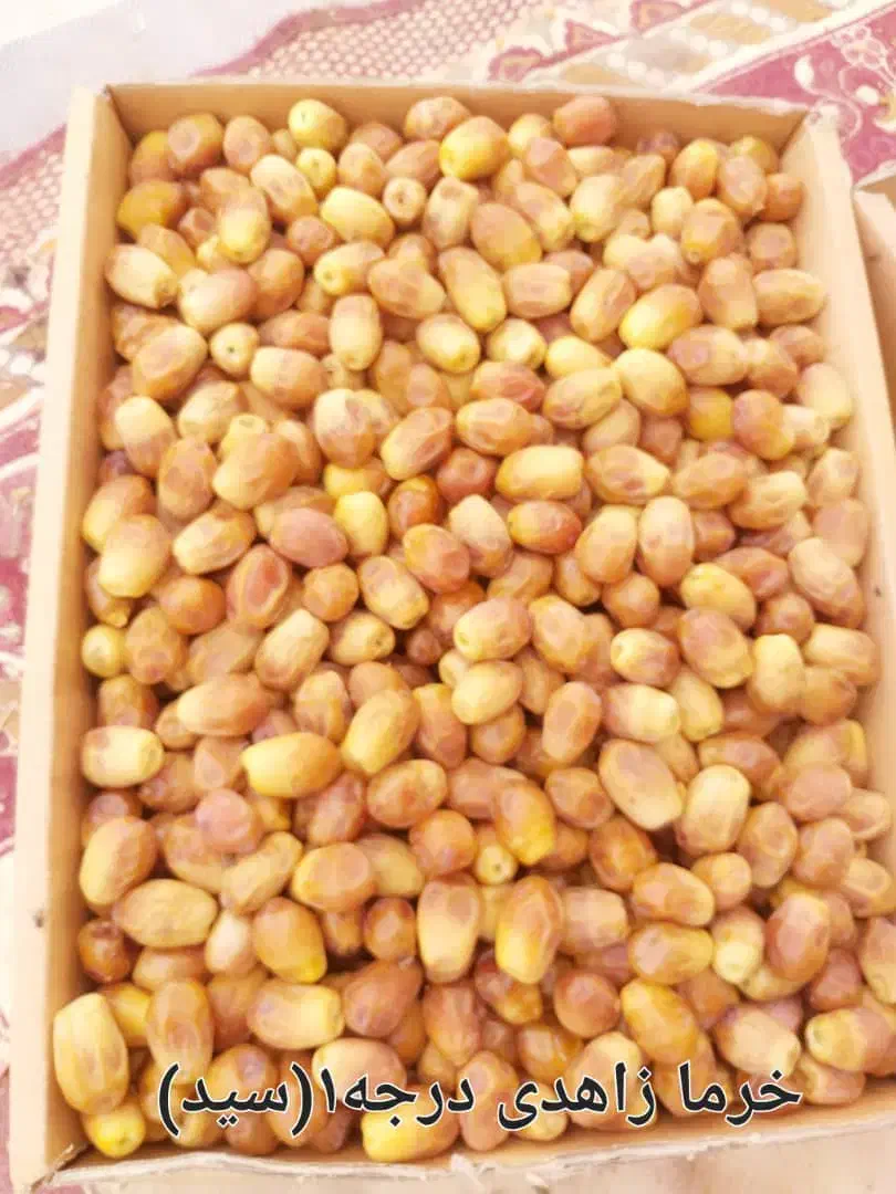 قصب ( زاهدی سید) افزر قیروکارزین|خوردنی و آشامیدنی|شیراز, گل سرخ|دیوار