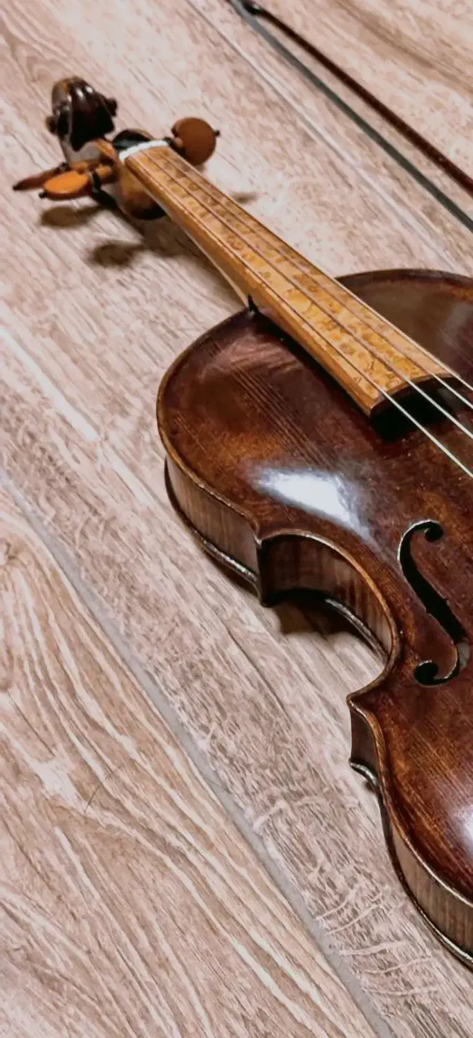 آموزش موسیقی|خدمات آموزشی|شاهرود, |دیوار