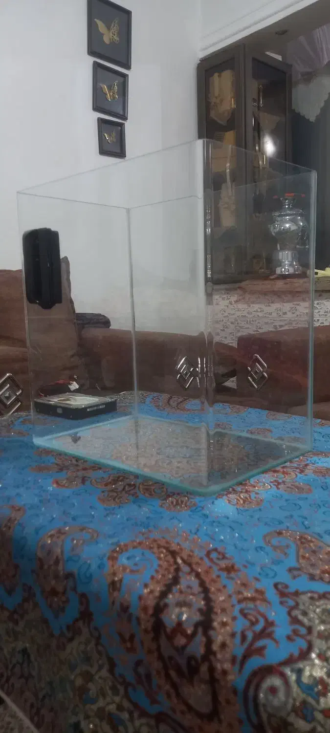 آکواریم ماهی درجه 1 ( شرکتی )|ماهی|رشت, حومه رشت|دیوار