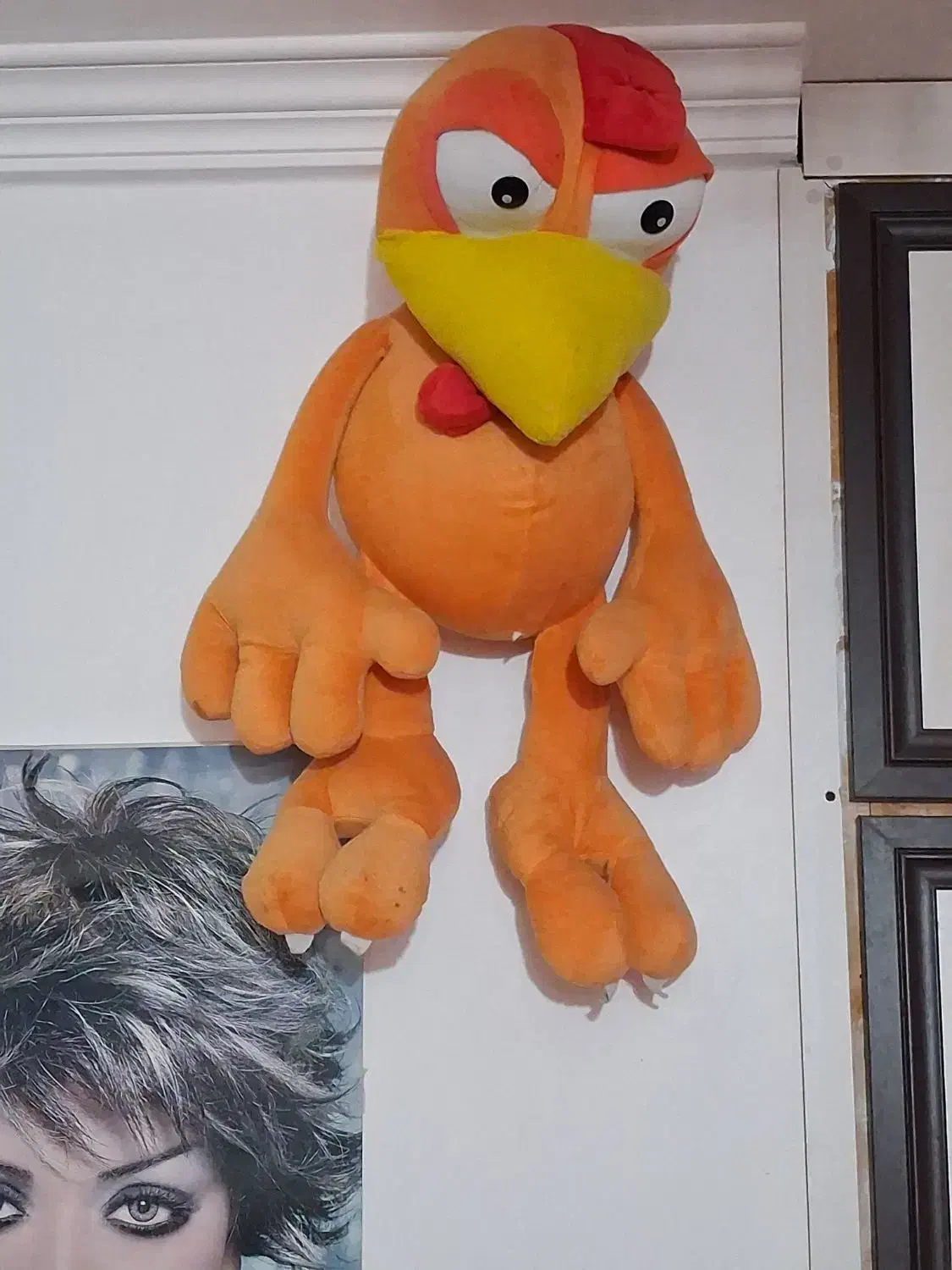 عروسک|اسباببازی بچه|رشت, کوی مهر|دیوار